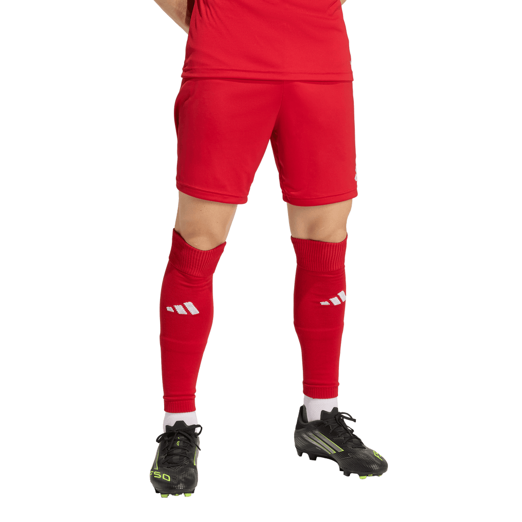 Entrada 26 Shorts (JZ2517)