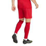 Entrada 26 Shorts (JZ2517) Apparel Adidas