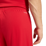 Entrada 26 Shorts (JZ2517) Apparel Adidas