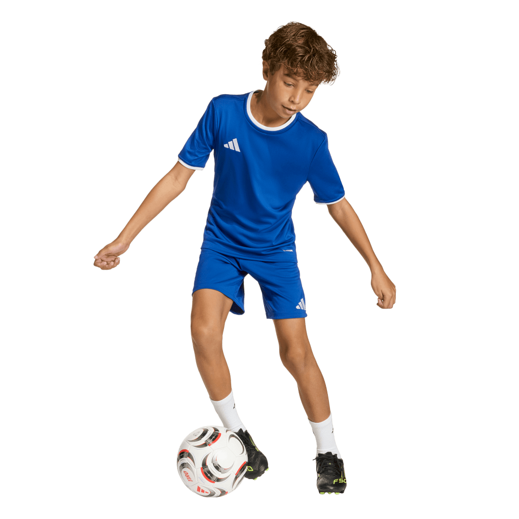 Entrada 26 Youth Shorts (JZ6524) Apparel Adidas