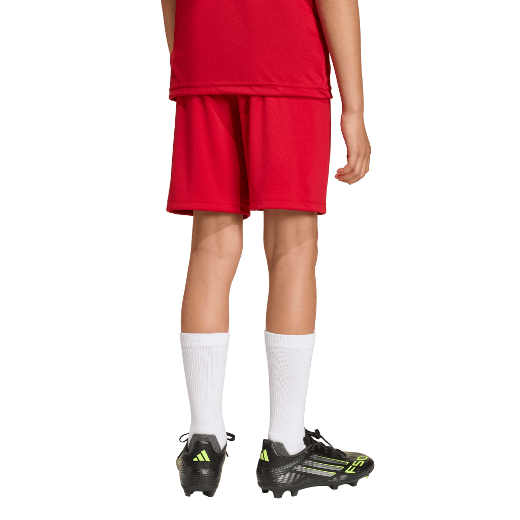 Entrada 26 Youth Shorts (JZ6528)