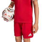 Entrada 26 Youth Shorts (JZ6528) Apparel Adidas