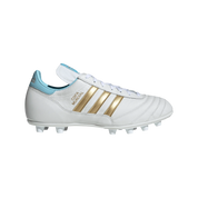 Copa Mundial Argentina FG - Special Edition (KJ3523)