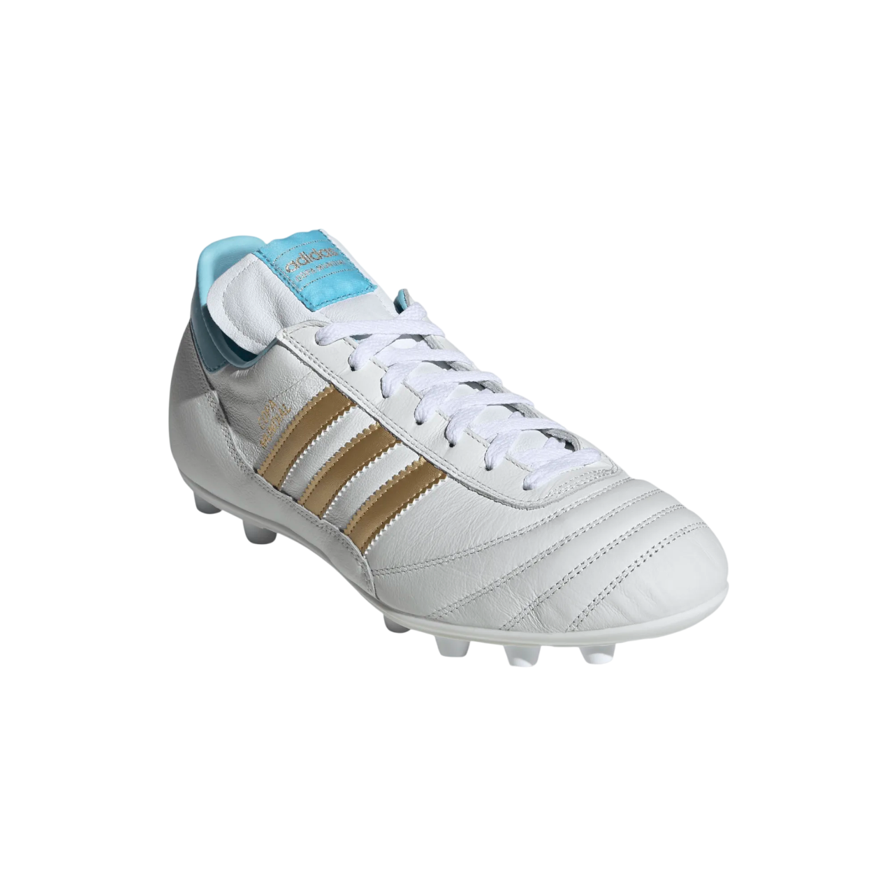 Copa Mundial Argentina FG - Special Edition (KJ3523)