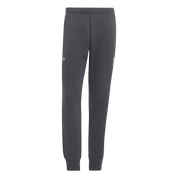 Liverpool FC Spacer Teamgeist 26 Track Pants (KX7711)