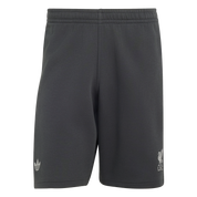 Liverpool FC Spacer Teamgeist 26 Shorts (KX7713)