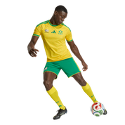 South Africa 2026 Home Jersey (KY2209)