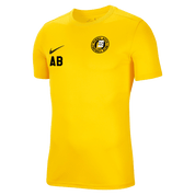 MINDIL ACES FC Men's Park 7 Jersey (BV6708-719) MINDIL ACES FC Nike Club Zone