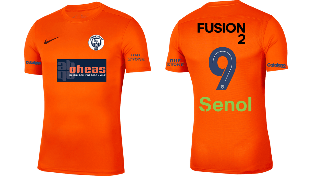 BOROONDARA EAGLES FC Men's Park 7 Jersey (BV6708-819)