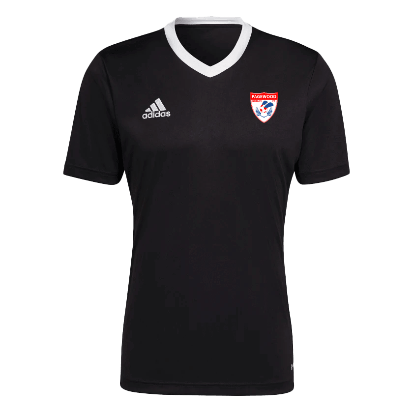 PAGEWOOD FC  Entrada 22 Youth Jersey (H57497)