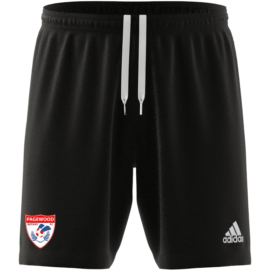 PAGEWOOD FC  Entrada 22 Youth Shorts (H57502)