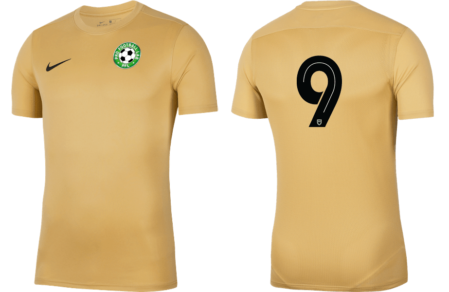 PRO FOOTBALL LAB Men's Park 7 Jersey (BV6708-729) PRO FOOTBALL LAB Nike Club Zone