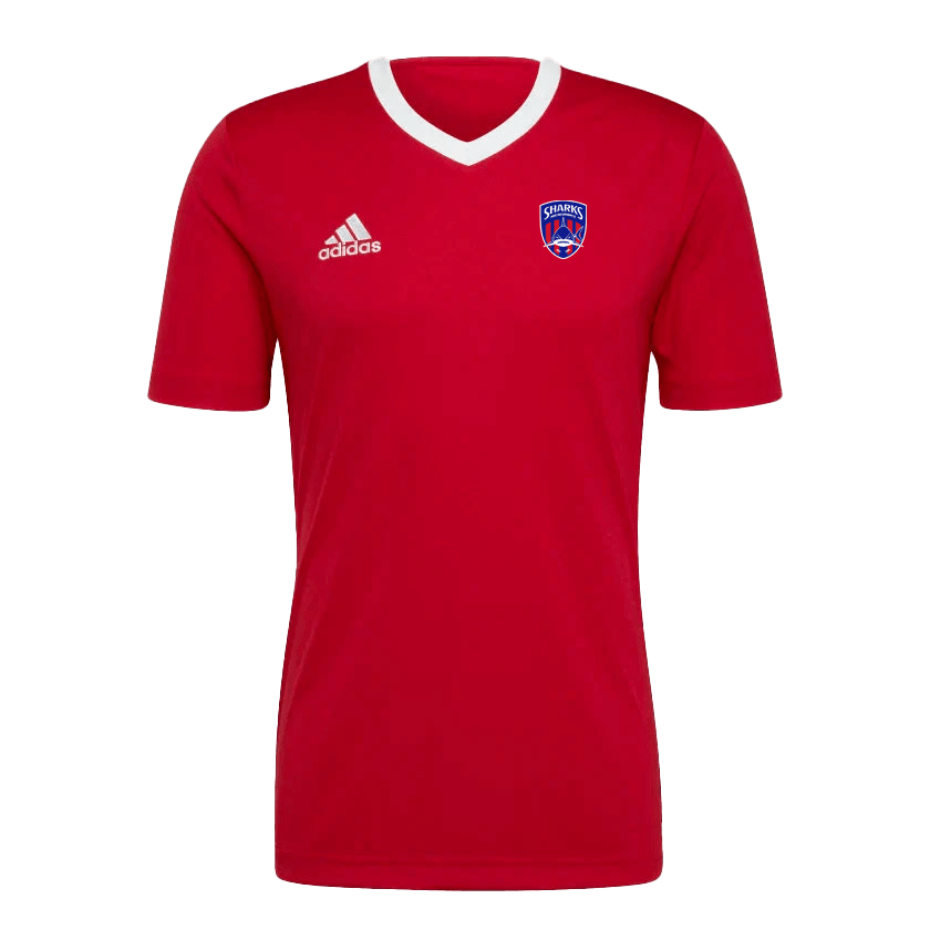 PORT MELBOURNE SC  Entrada 22 Youth Jersey - Away/Training(H57496)