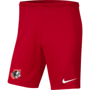 PORTLAND PANTHERS Men's Park 3 Shorts (BV6855-657) PORTLAND PANTHERS Nike Club Zone