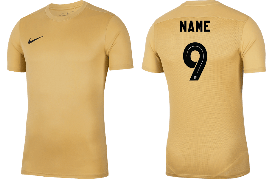 NORMANHURST 6 A SIDE Men's Park 7 Jersey (BV6708-729) NORMANHURST 6 A SIDE Nike Club Zone