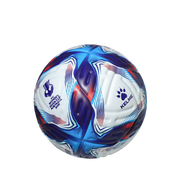Women's Asian Cup 2026 Wavemaker Official Match Ball (KSOC2500)