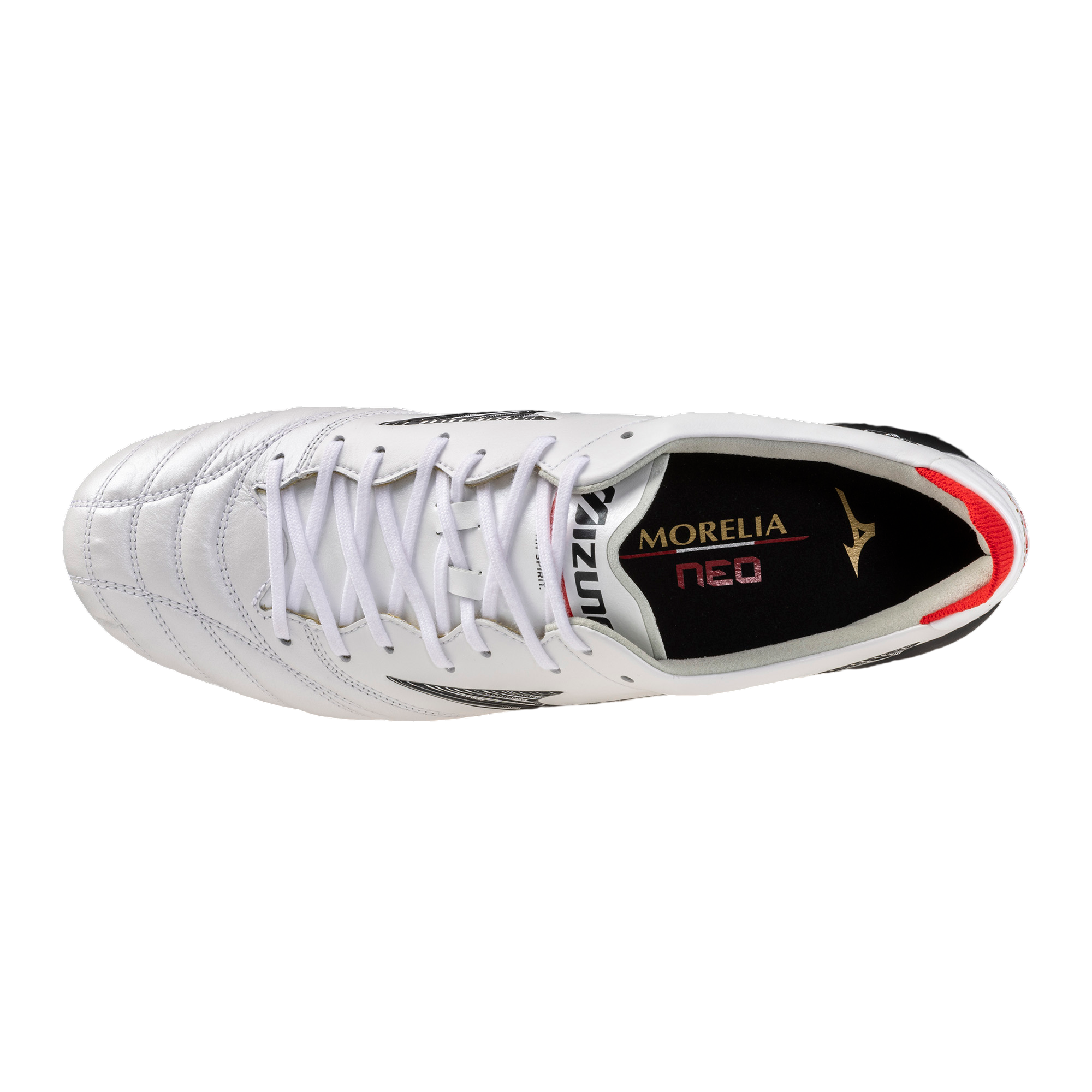 Morelia Neo V Japan FG (P1GA268009)