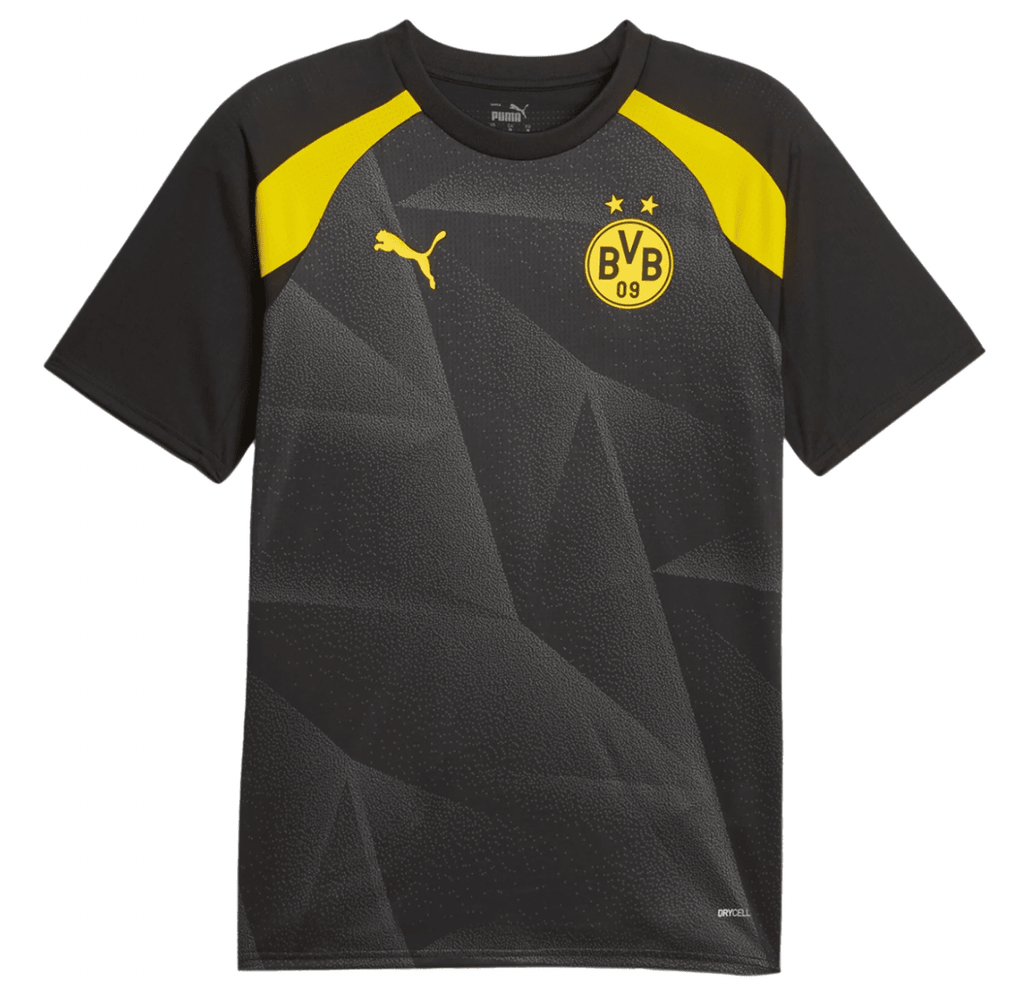 Borussia Dortmund Pre-Match Jersey (77179701)