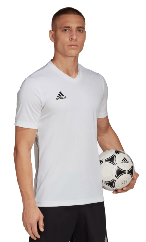 Adidas entrada top youth jersey