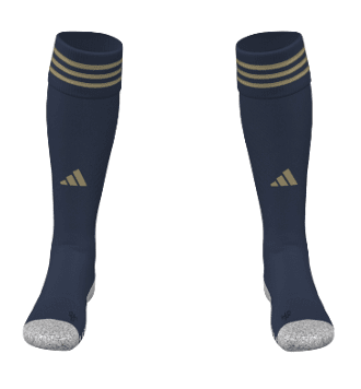 BSFA Training Sock