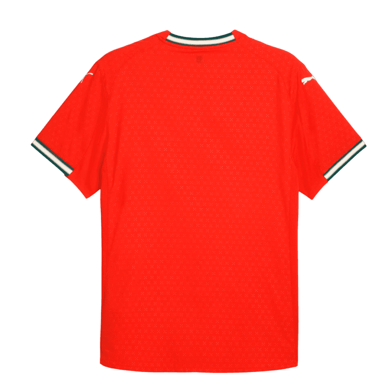 Portugal 2025 Home Youth Jersey (77919301)