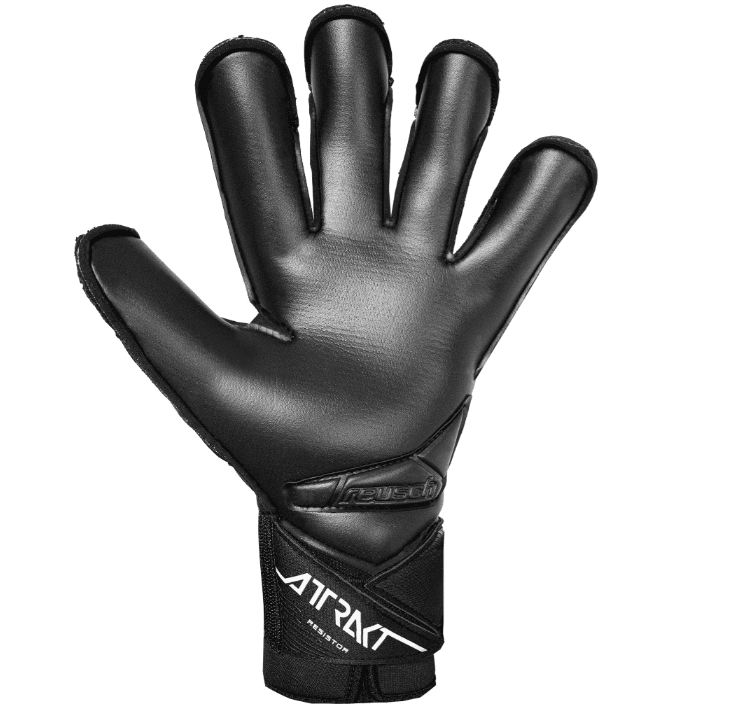 Attrakt Infinity Resistor (56707457700)