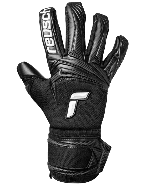 Attrakt Infinity Evolution NC (56707257700)