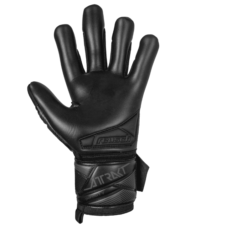 Attrakt Infinity Evolution NC (56707257700)