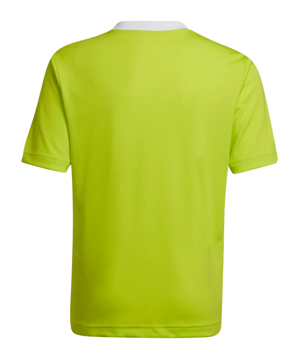 Entrada 22 Jersey (HC5077)