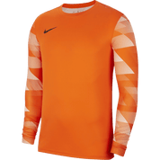 Men's Park 4 Goalkeeper Jersey (CJ6066-819) Teamwear Jersey Nike