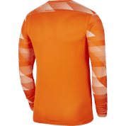 Men's Park 4 Goalkeeper Jersey (CJ6066-819) Teamwear Jersey Nike