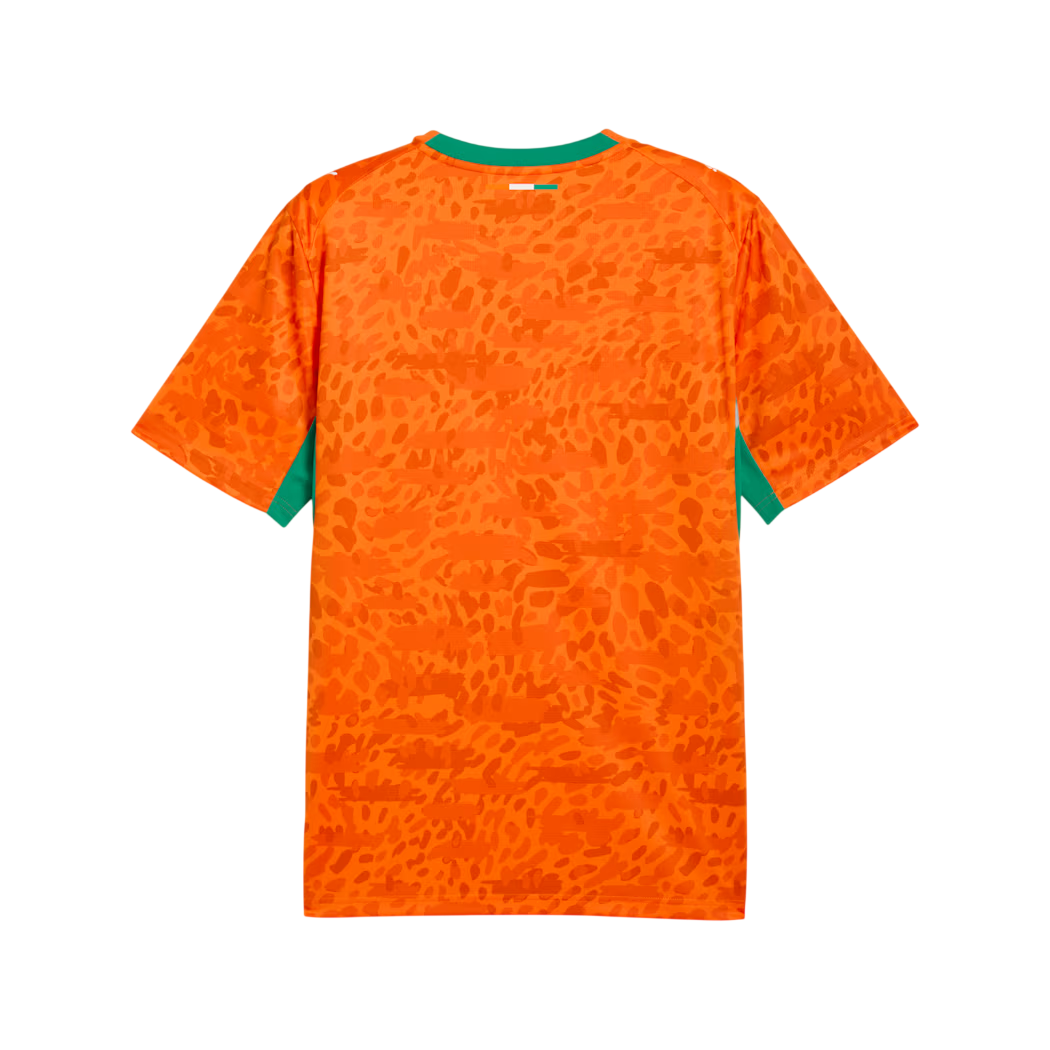 Ivory Coast 2026 Home Jersey (78318201)