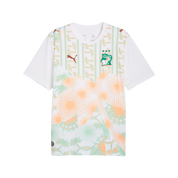 Ivory Coast 2026 Away Jersey (78318802)