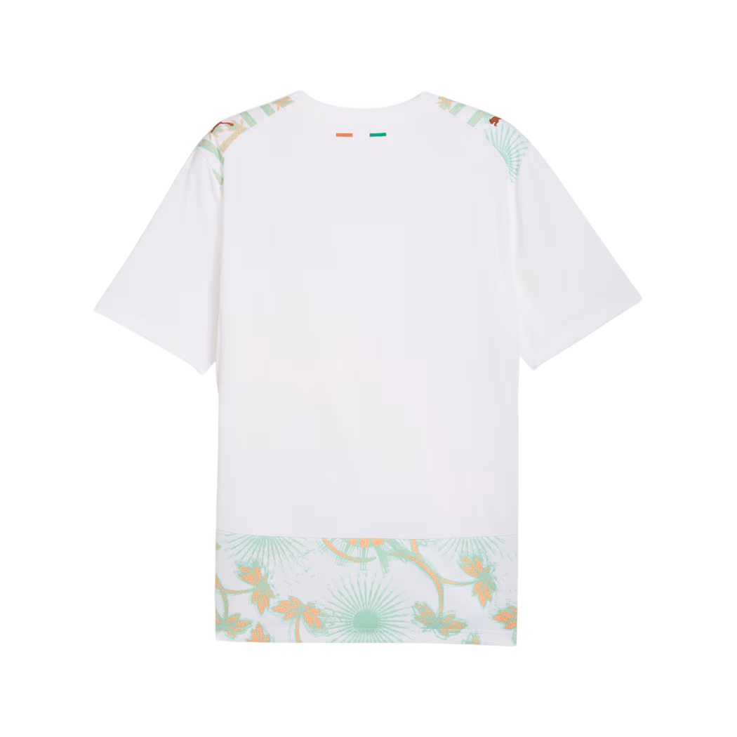 Ivory Coast 2026 Away Jersey (78318802)
