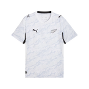 New Zealand 2026 Away Jersey (78326702)