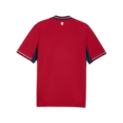 Czechia 2026 Home Jersey (78325201)