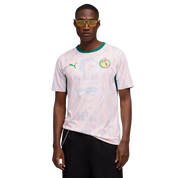 Senegal 2026 Home Jersey (78316501)