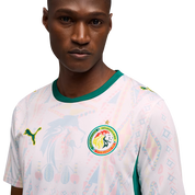 Senegal 2026 Home Jersey (78316501)