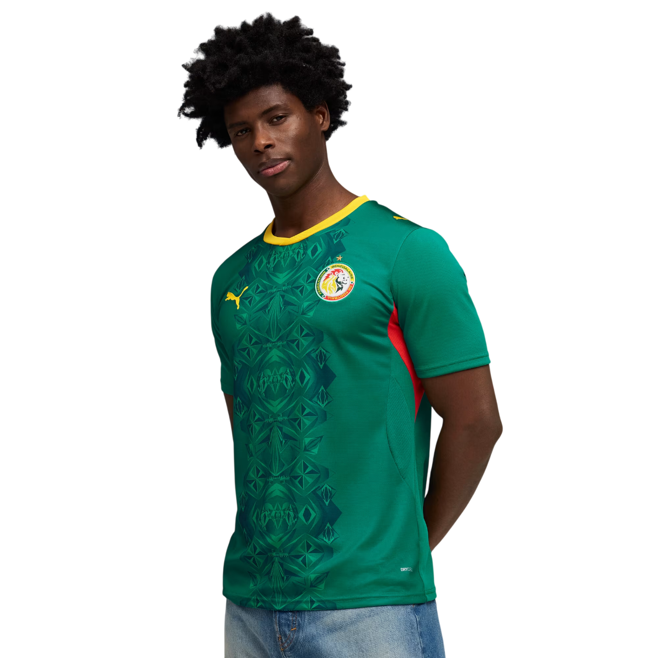 Senegal 2026 Away Jersey (78317102)