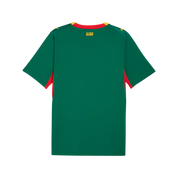 Senegal 2026 Away Jersey (78317102)