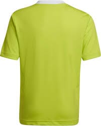 Entrada 22 Youth Jersey (HC5079) Teamwear Jersey Adidas