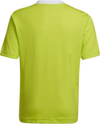 Entrada 22 Youth Jersey (HC5079)