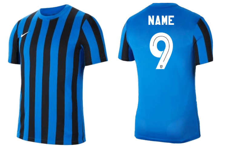 NORMANHURST 6 A SIDE  Men's Striped Division 4 Jersey (CW3813-463)