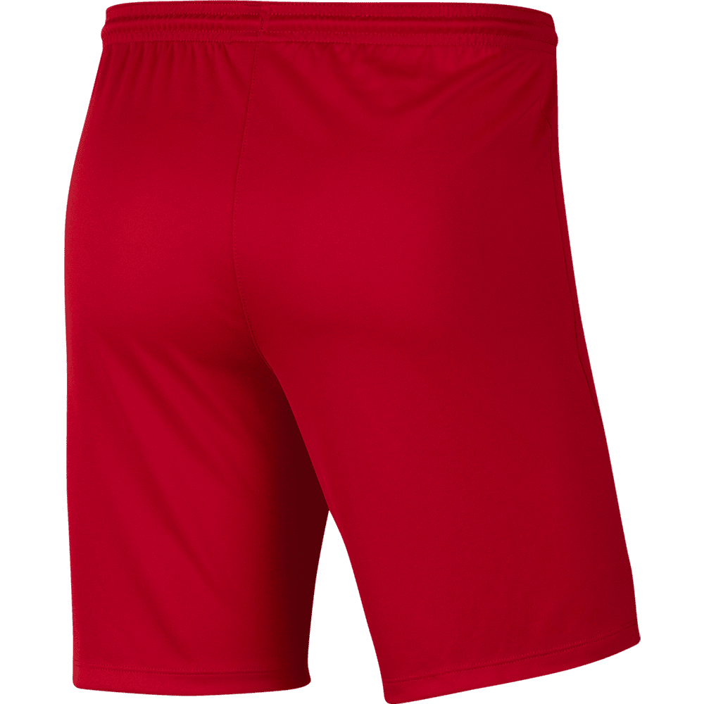 PORTLAND PANTHERS Youth Park 3 Shorts (BV6865-657) PORTLAND PANTHERS Nike Club Zone