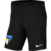 FITZROY FC Youth Nike Dri-FIT Park 3 Shorts FITZROY FC Nike Club Zone