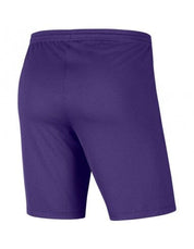 Men's Park 3 Shorts (BV6855-547) Apparel Nike