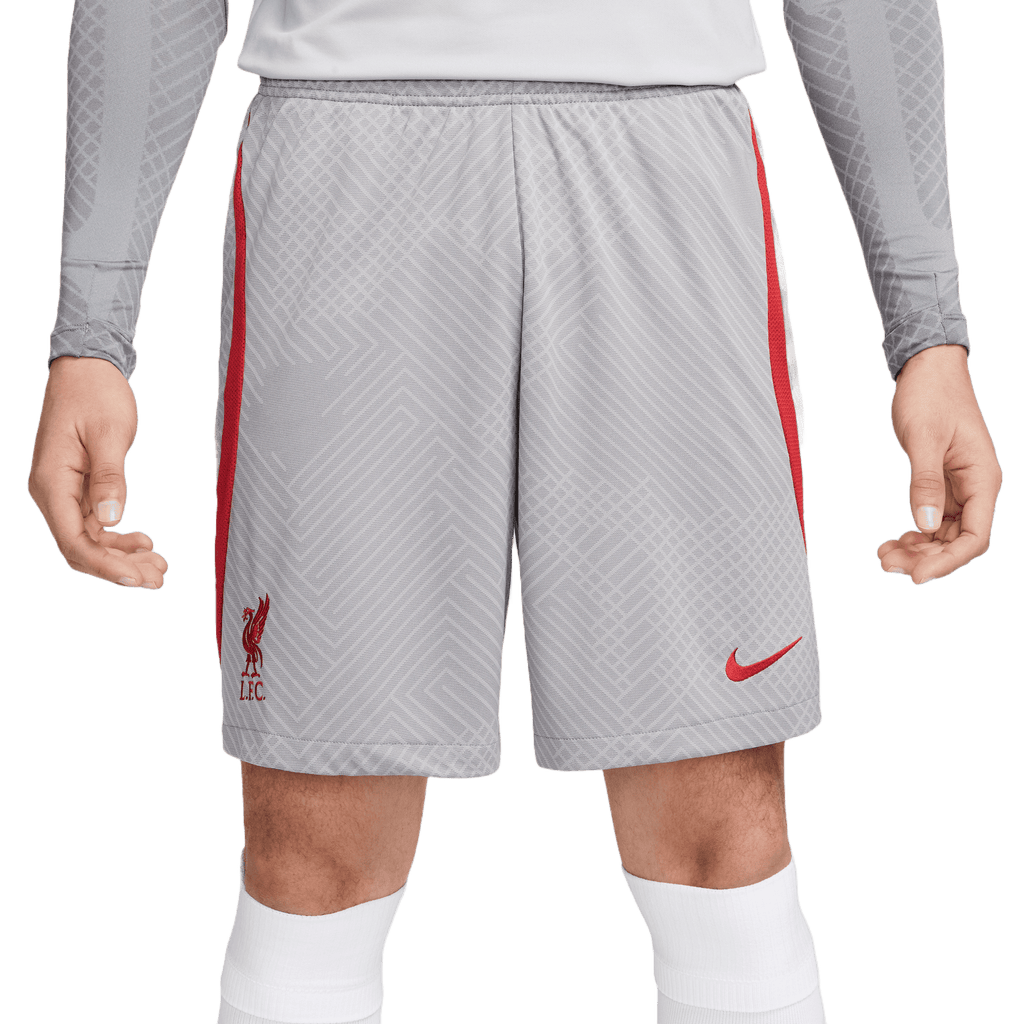 Liverpool FC Men's Strike Shorts (DR4663-084)