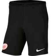 ELITE ATHLETES SCOUTING Men's Park 3 Shorts ELITE ATHLETES SCOUTING Nike Club Zone