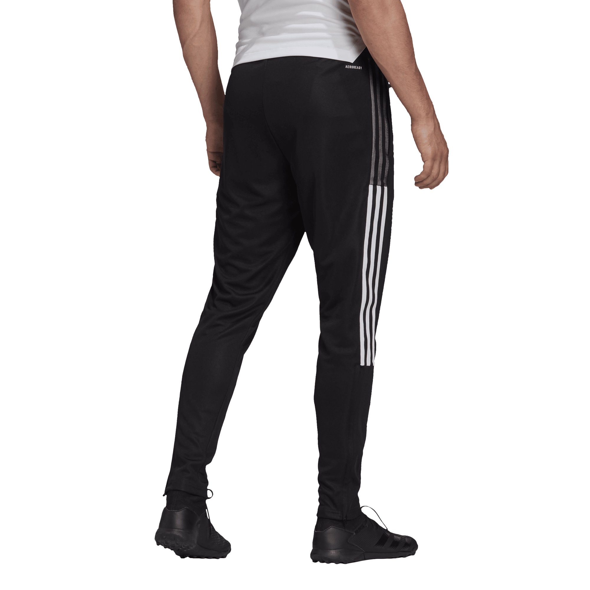 MASTERS LEAGUE Men's Tiro 21 Track Pant MASTERS LEAGUE Adidas Club Zone