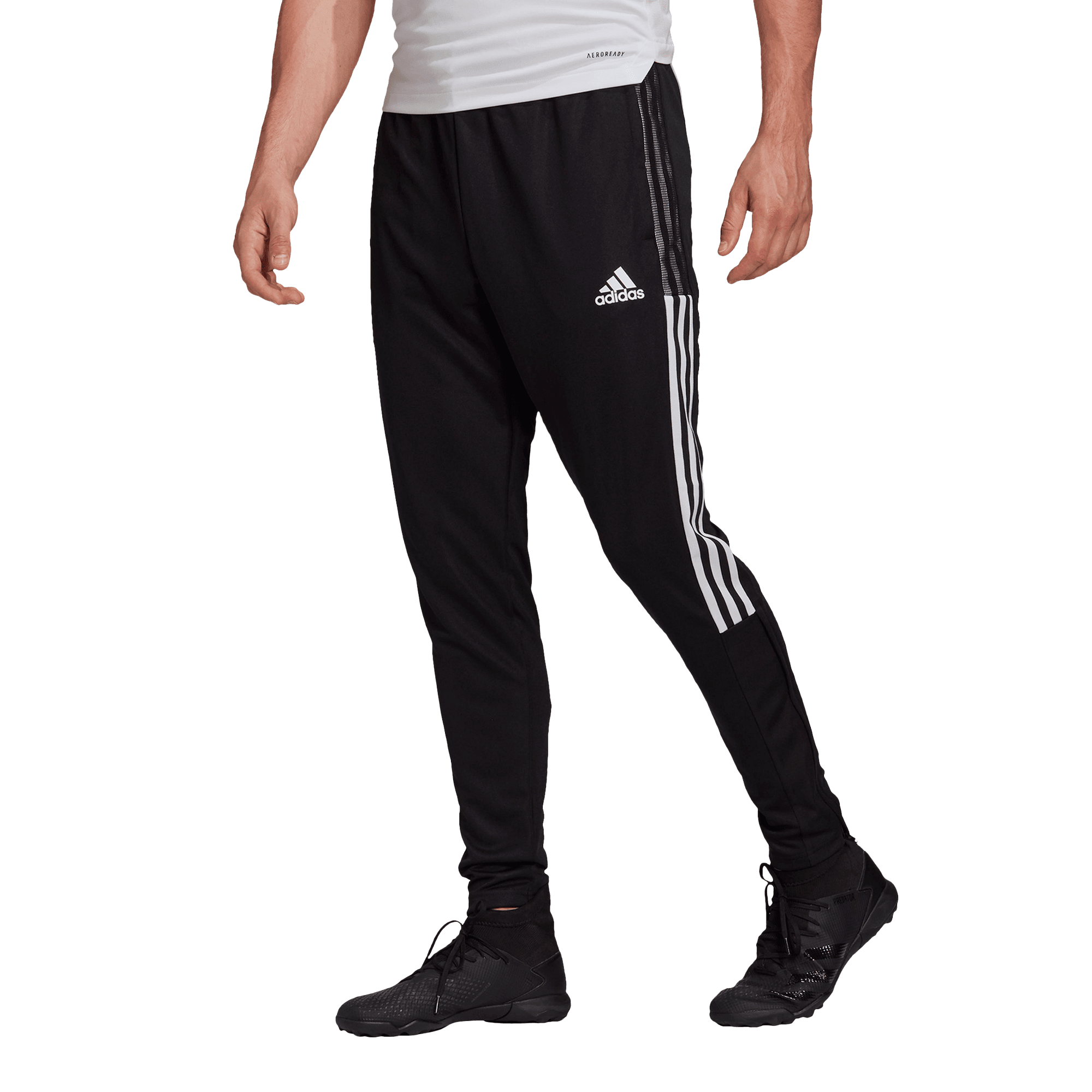 MASTERS LEAGUE Men's Tiro 21 Track Pant MASTERS LEAGUE Adidas Club Zone